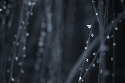 964330 (a): :2048x1365